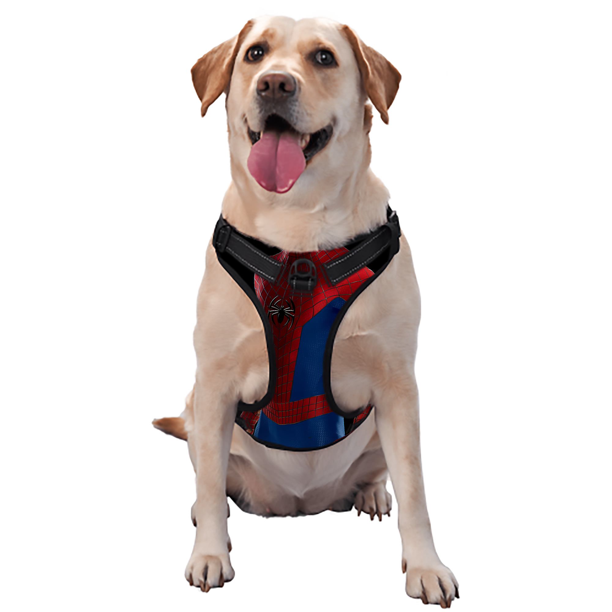 （画像用） Spider Man スパイダーマン ペット用ハーネス